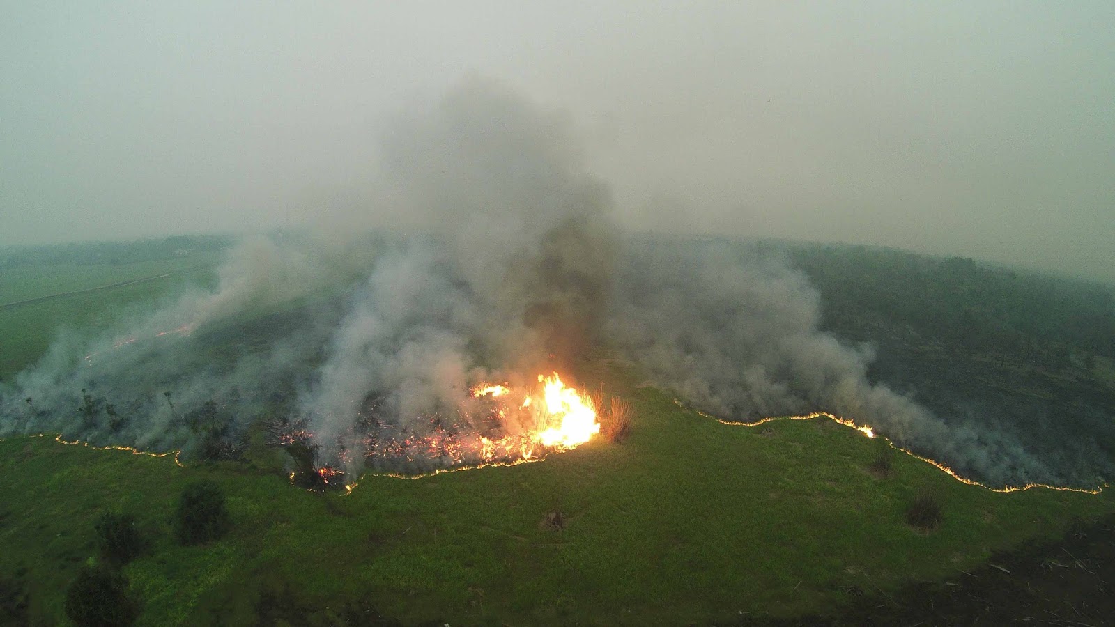 Drone footage_fire in Sabangau sedge (2)_Outrop 2015